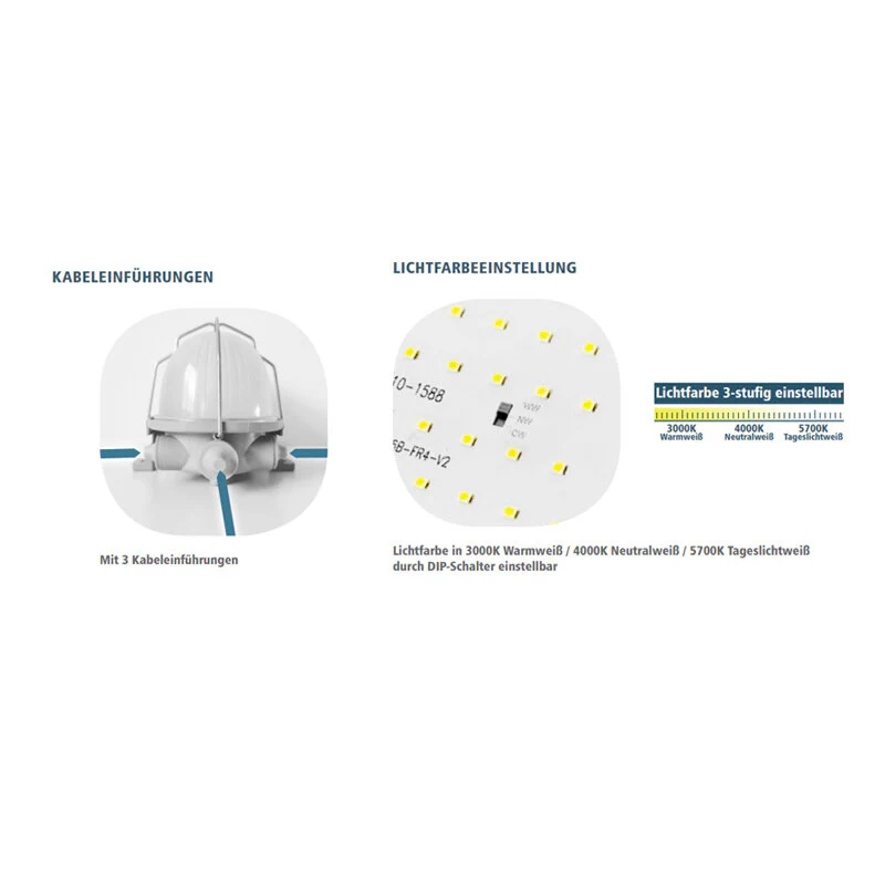 Ovalleuchte LED, 10 W, Lichtfarbe einstellbar, IP44, weiß - Image 4